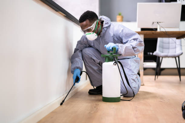 Real Estate Pest Inspections in El Dorado Hills, CA